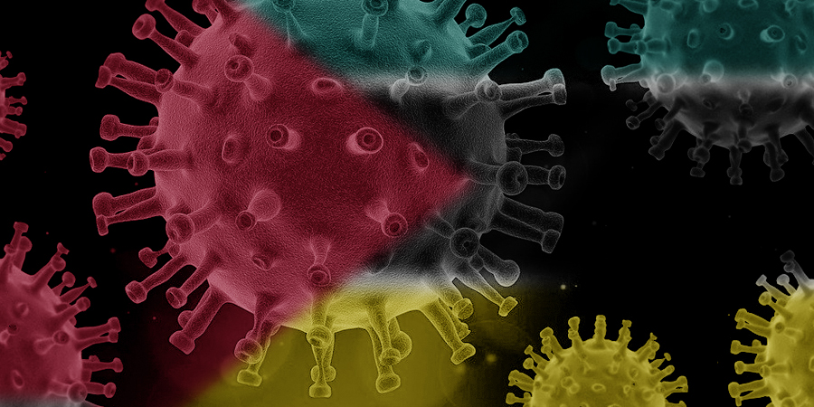 Prorogation of the State of Emergency in Mozambique – Updates